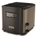 Thermeau Prestige TH140B residential pool heat pump